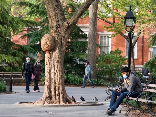 park goers