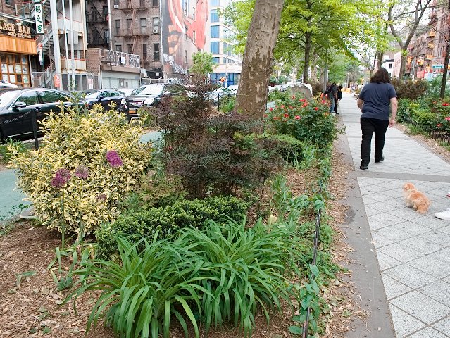 Median pathway