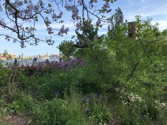 East River Park