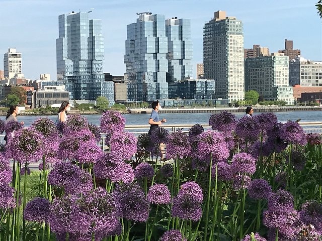 East River Park