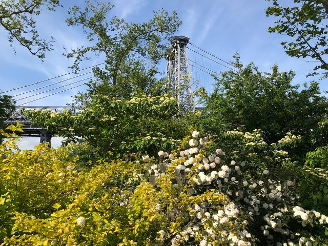 East River Park