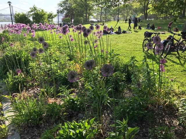 East River Park