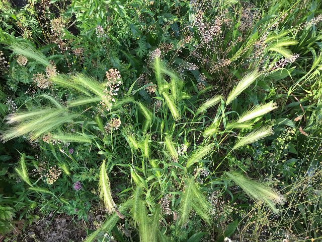 East River Park