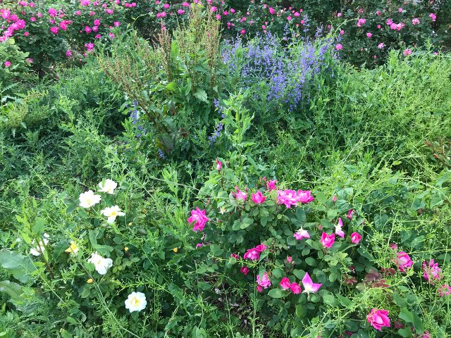 East River Park