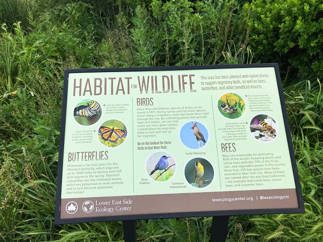 nature habitat