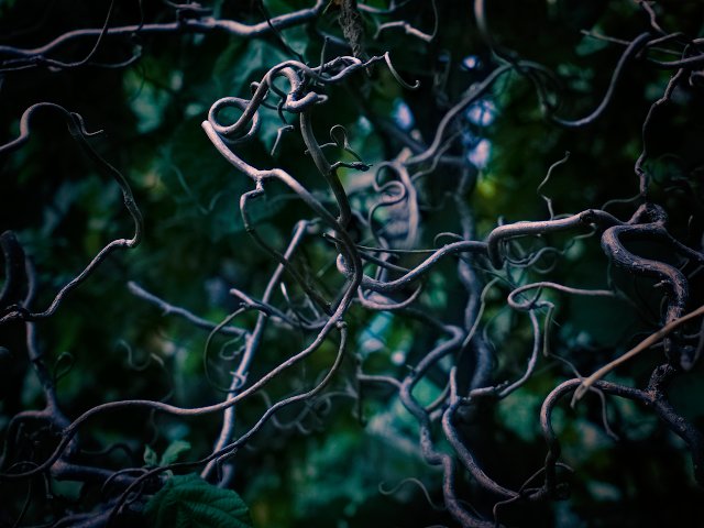 tubular stems